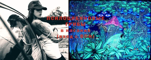 шишки Бронницы