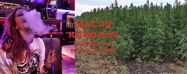 молекула духа Бородино