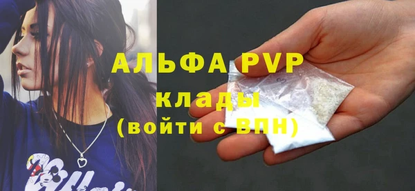 молекула духа Бородино