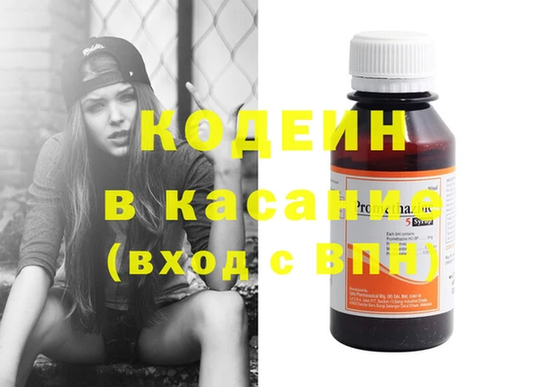 молекула духа Бородино