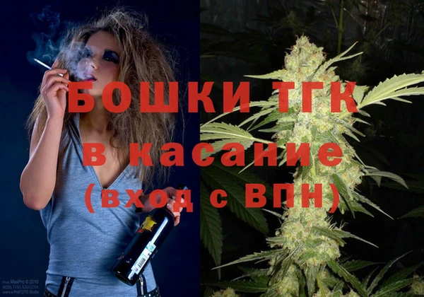 молекула духа Бородино