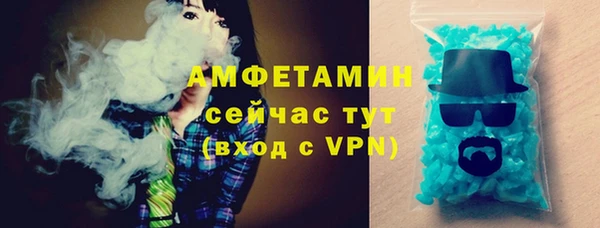молекула духа Бородино