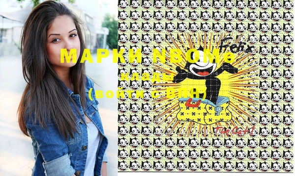 шишки Бронницы