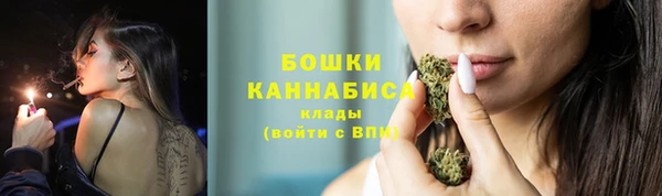 молекула духа Бородино