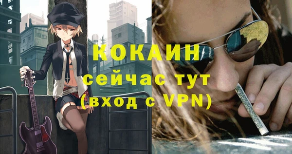 шишки Бронницы