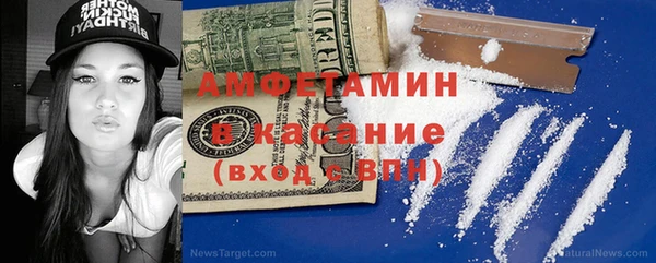 молекула духа Бородино
