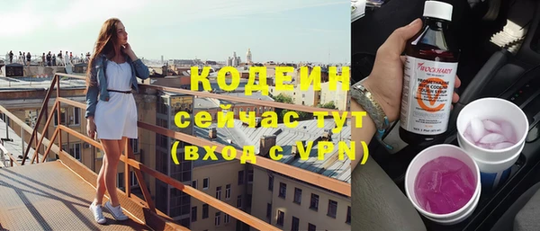 молекула духа Бородино