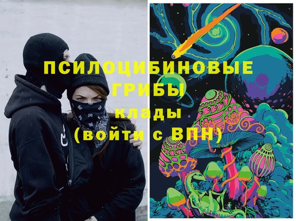 молекула духа Бородино