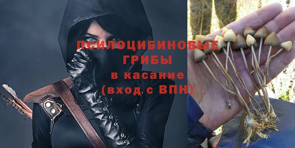 молекула духа Бородино