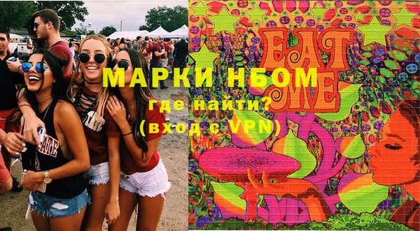 молекула духа Бородино