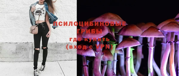 шишки Бронницы