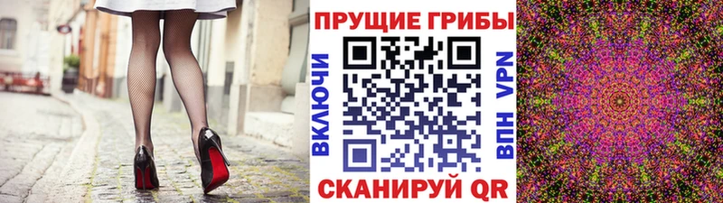 Галлюциногенные грибы прущие грибы  Купить  Лабинск 
