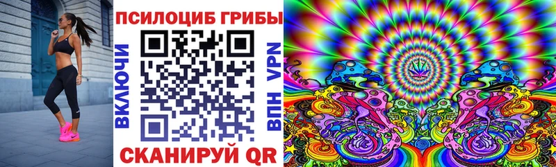 Галлюциногенные грибы Psilocybine cubensis Лабинск